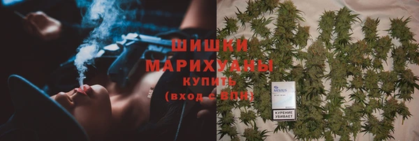 прущие грибы Аркадак