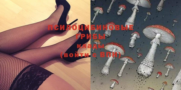 прущие грибы Аркадак