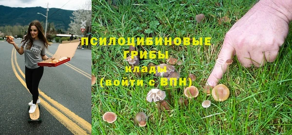 герыч Арсеньев