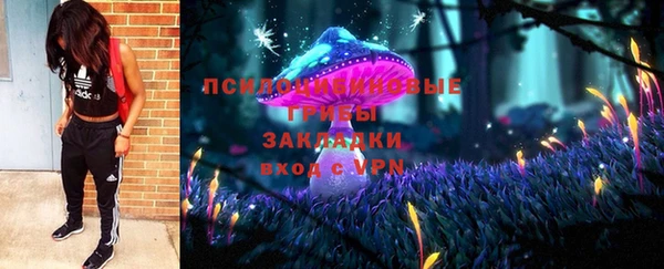 прущие грибы Аркадак