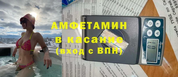 прущие грибы Аркадак