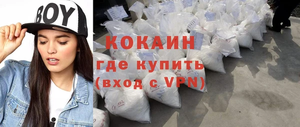 прущие грибы Аркадак